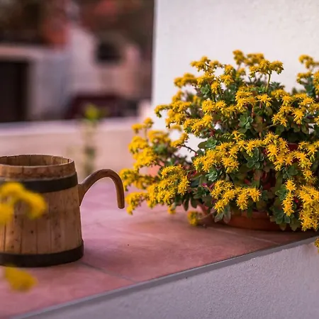 Διαμέρισμα Antonina