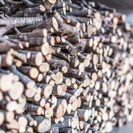 Διαμέρισμα Antonina Kožino